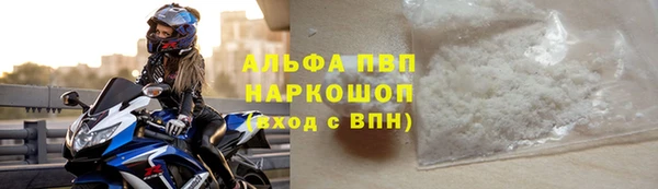 прущие грибы Белокуриха
