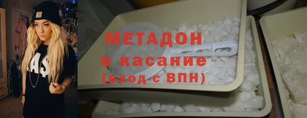 прущие грибы Белокуриха