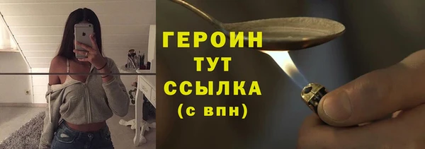 прущие грибы Белокуриха