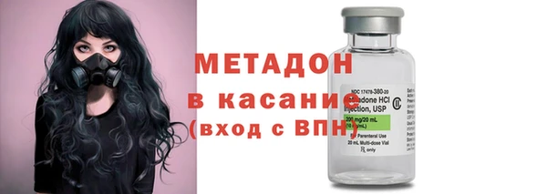 прущие грибы Белокуриха