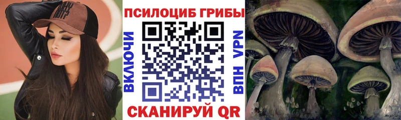Галлюциногенные грибы мухоморы  закладка  Гаджиево 